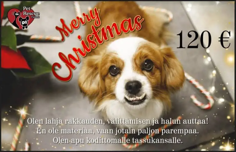 Eettinen_joululahja-kortti_120