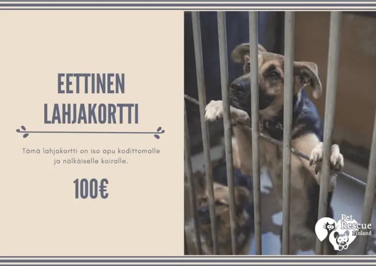 Kauppa-eettinenlahjakortti100-2
