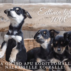 Eettinen lahjakortti