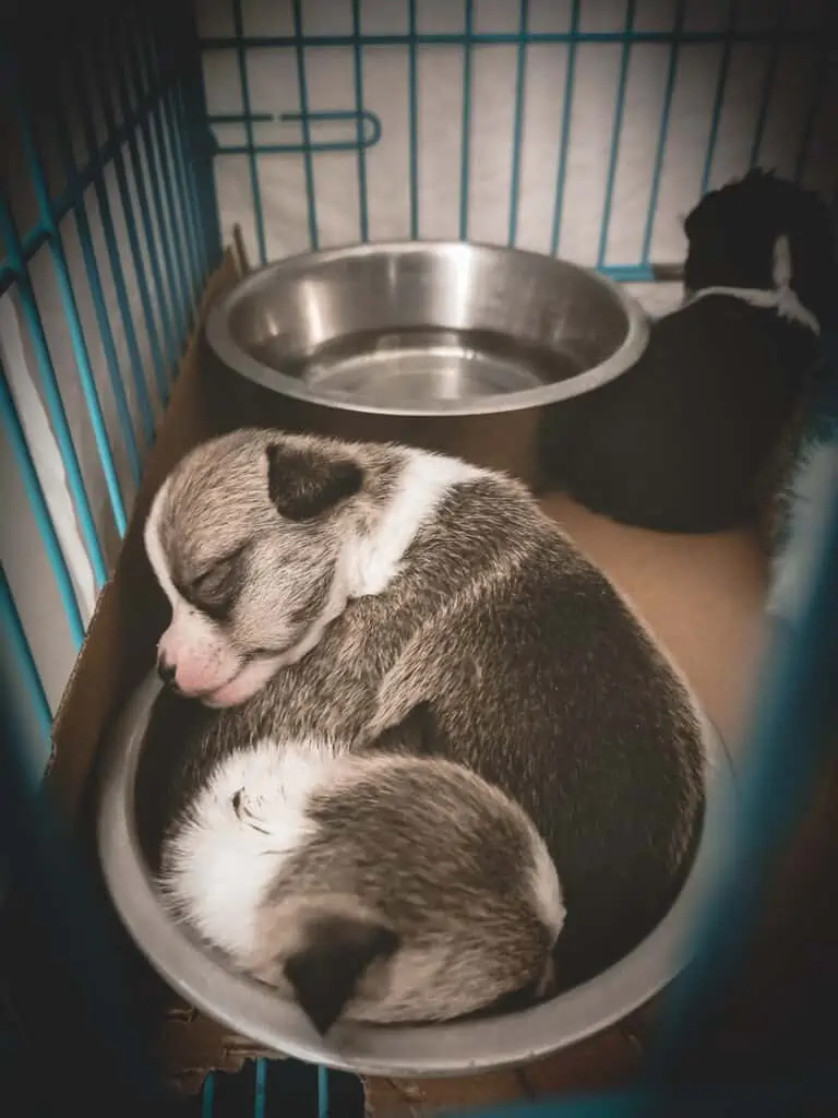 Lahjoita - streiloinnit Lahjoita - streiloinnit