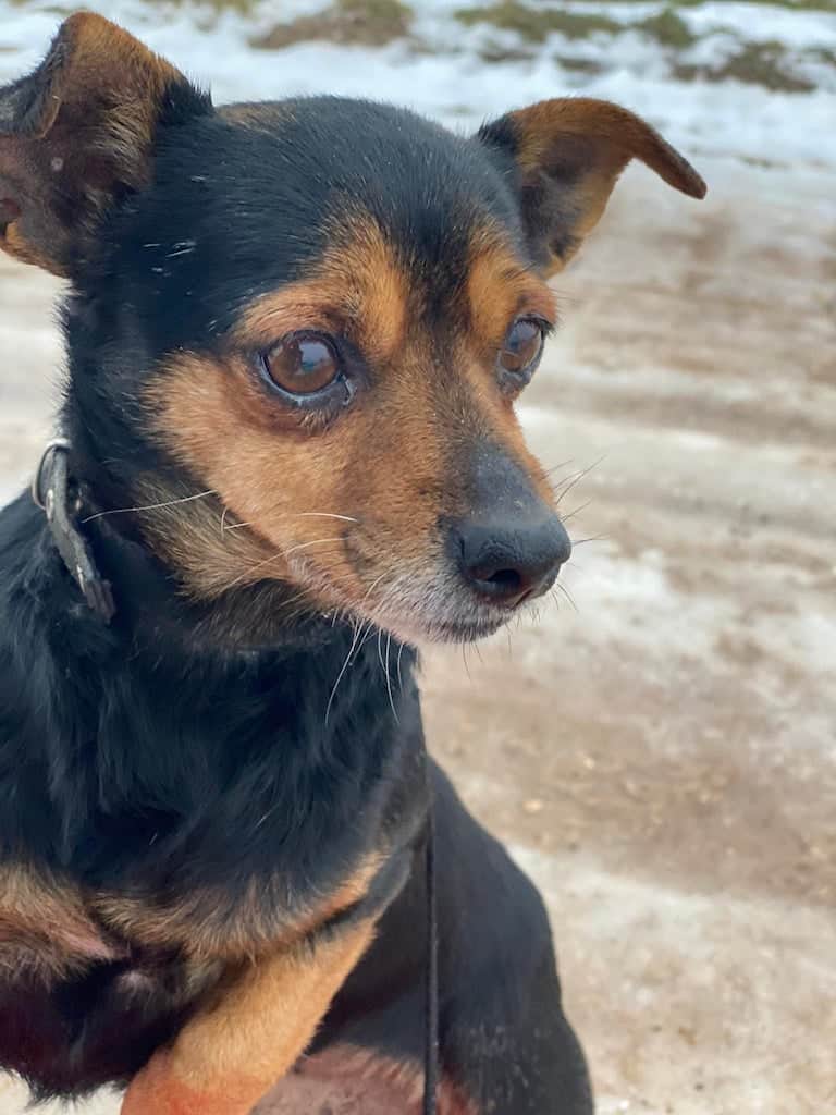 Spirgiukas nyk. Lucky