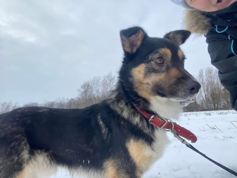 Tickunas nyk. Nuusku