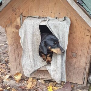 Rakennetaan uusi tarha