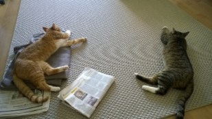 Garfieldas ja Buckis nyk. Karvinen ja Olli