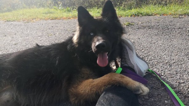 Ocean Breeze nyk. Kuura