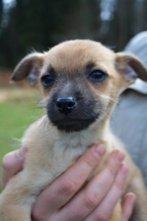 Poika nro 3 nyk. Rico