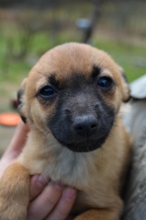 Tyttö nro 3 nyk. Kiki