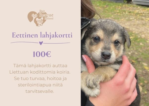 eettinen lahjakortti 100
