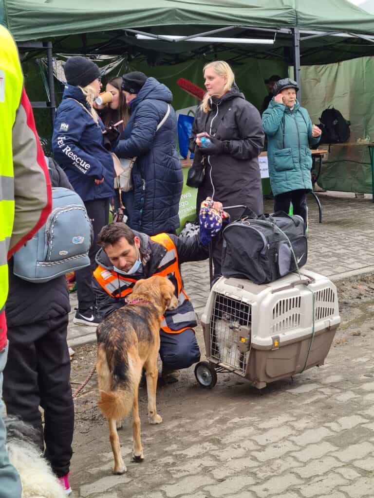 Matkaraportti 1.-3.4.2022 – Eläinten tilanne Ukrainan rajalla