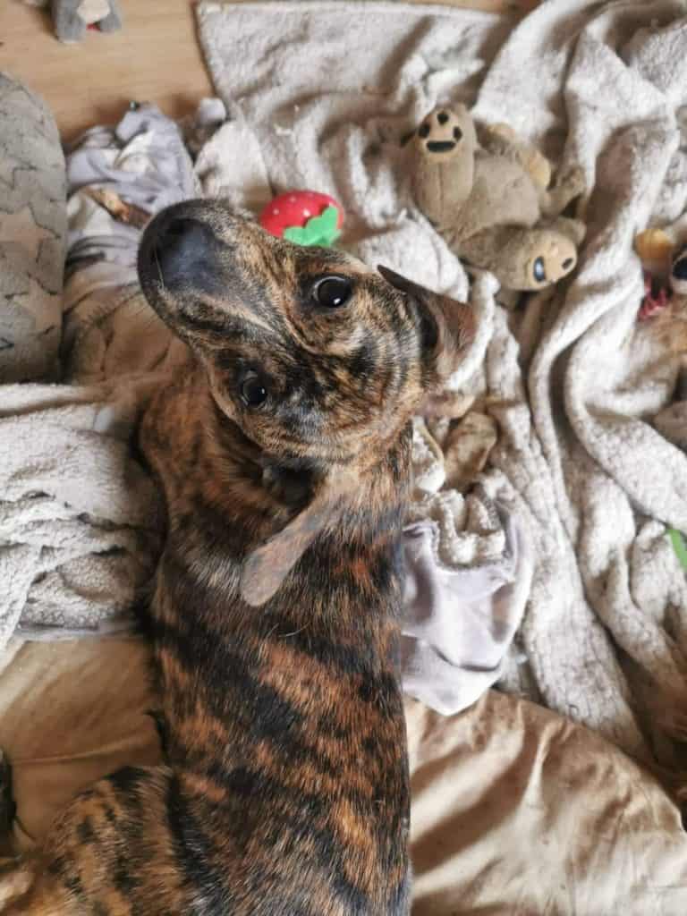 Martinis nyk. Ricky Martin