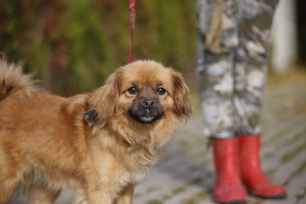 Marmeladas nyk. Marmeladi