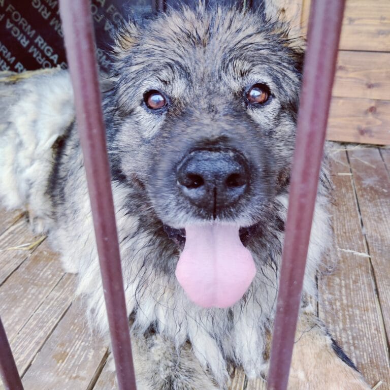 Tarhamatka ulkopuolisen silmin!