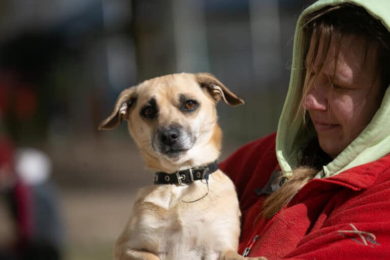 Tina (vaalea) nyk. Sopuli