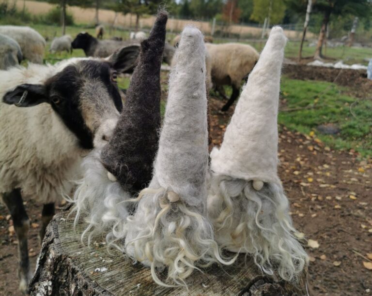 Tontut auttavat eläimiä!