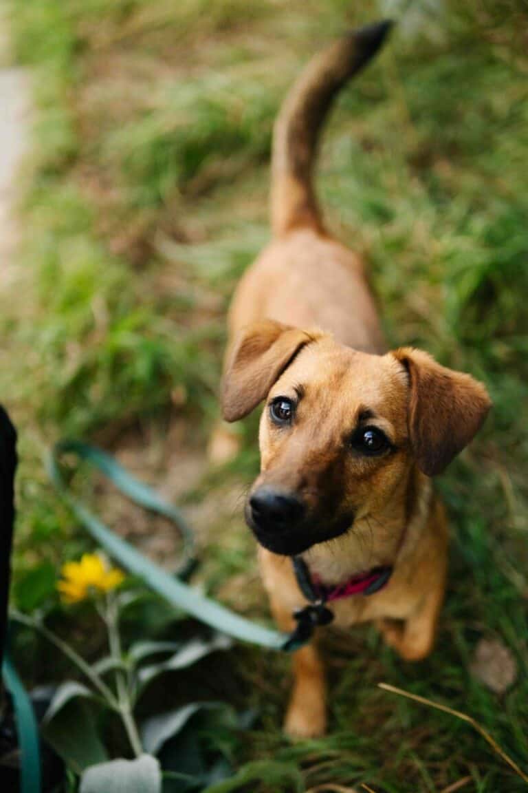 Filipina nyk. Stella