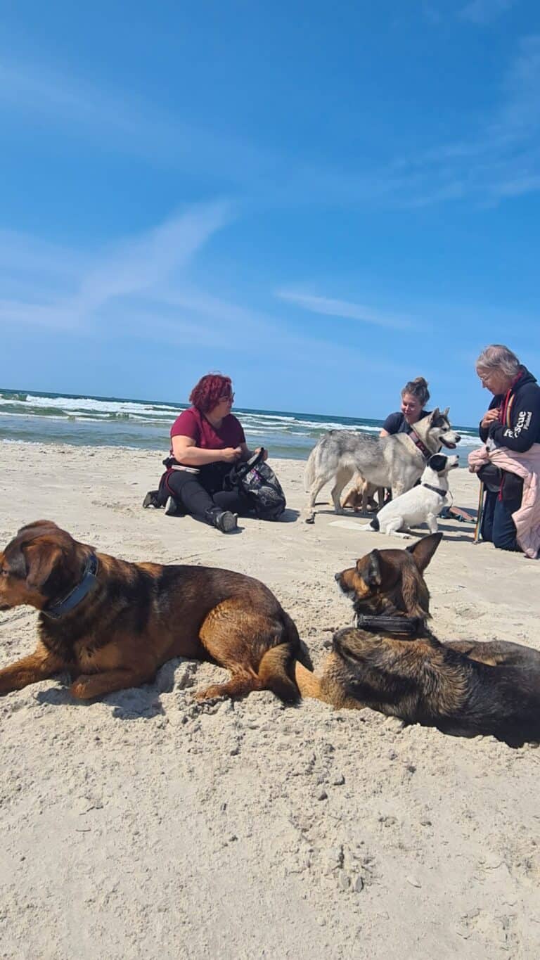 Tarhamatka Linksmosios Pedutes tarhalle Klaipedaan 4. – 6.6.2023