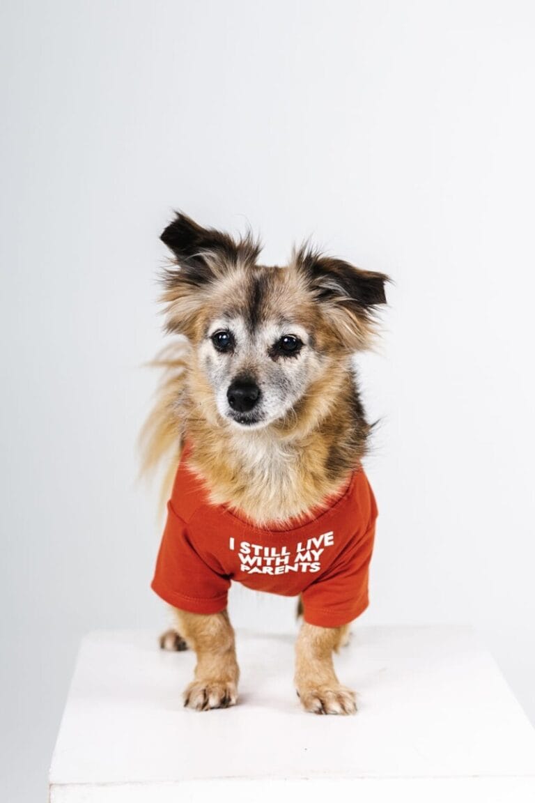 Matilda (pariadoptio)