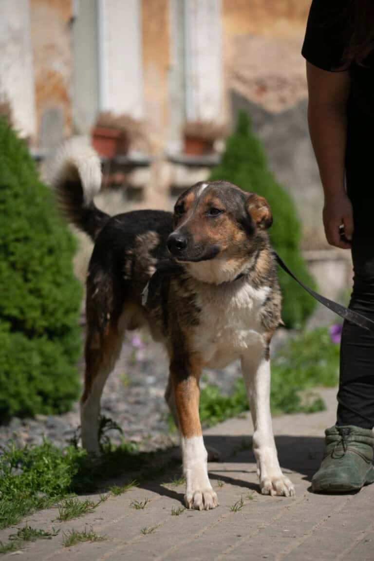 Marmeladas nyk. Markku