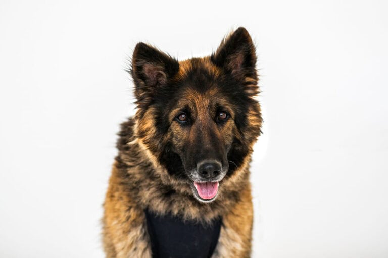 Kasablanka nyk. Kasa