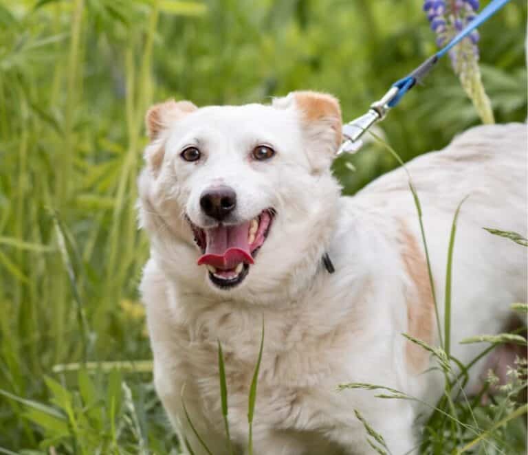 Makenzi nyk. Gertrude