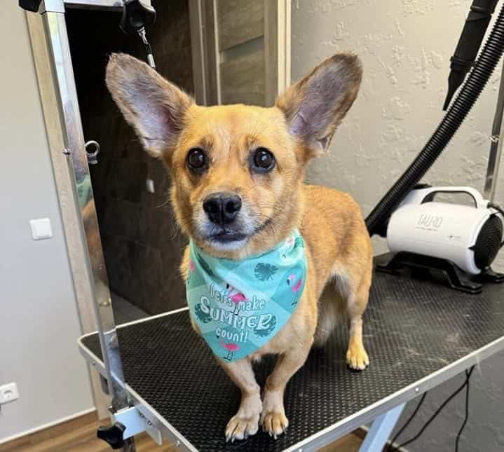 Florencia nyk. Flore