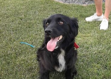 Muka (Meile) nyk. Muusa