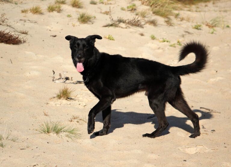 42 päivää rakastettu