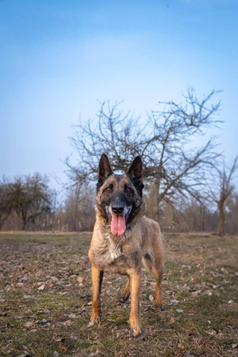 Zahra