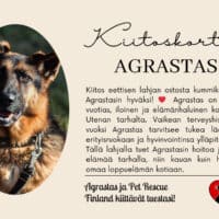 Agrastas_eettinenlahja