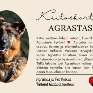 Eettinen lahjakortti - kummikoirat