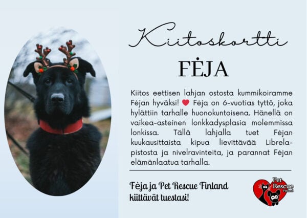 Feja_kortti Feja_kortti