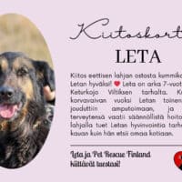 Leta_eettinenlahja