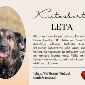 Eettinen lahjakortti - kummikoirat