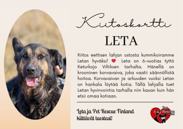 Leta_kortti Leta_kortti