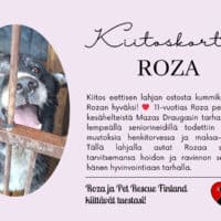 Roza_eettinenlahja