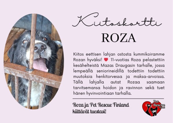 Roza_eettinenlahja Roza_eettinenlahja