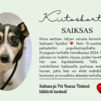 Saiksas_eettinenlahja