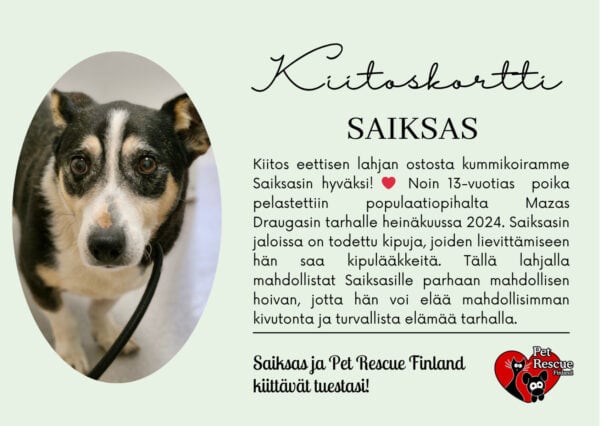 Saiksas_eettinenlahja Saiksas_eettinenlahja