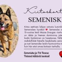 Seme_eetinenlahja