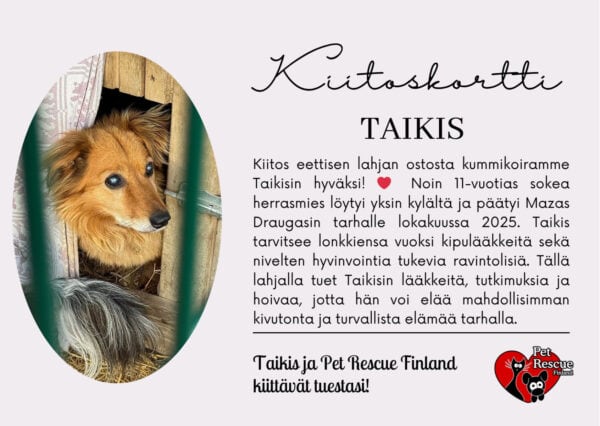 Taikis_eettinenlahja Taikis_eettinenlahja