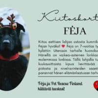 FEJA_eettinenlahja