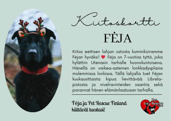 FEJA_eettinenlahja FEJA_eettinenlahja