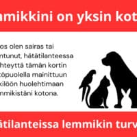 turvakortti etupuoli