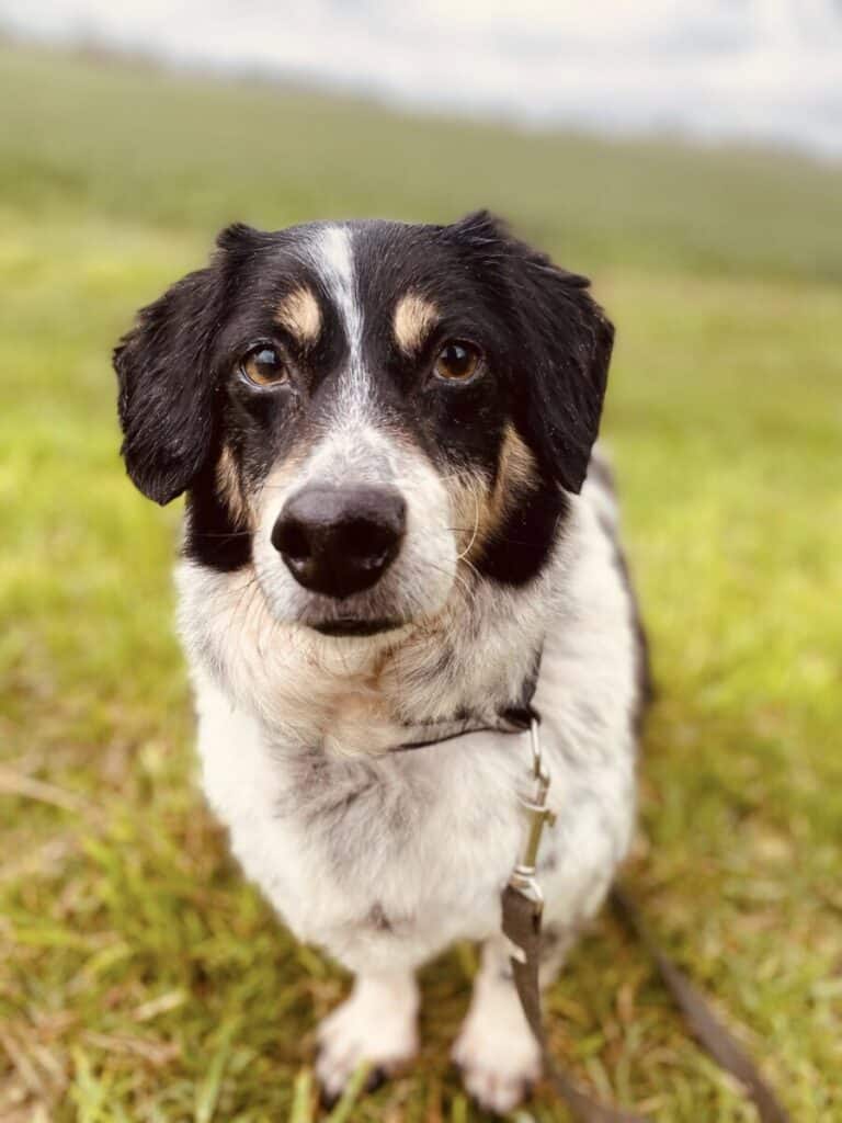 Sam