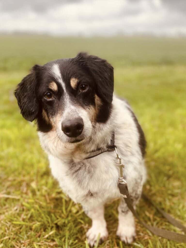 Sam