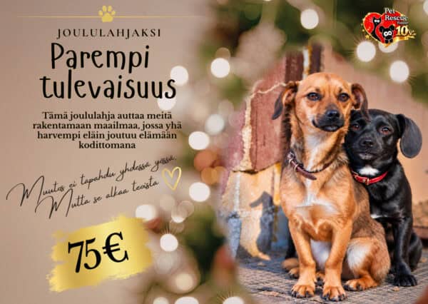 75 € 75 €